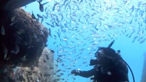 富戸テトラポットで魚に囲まれるダイバー