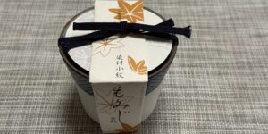 染付小紋盆栽栽培セット もみじ